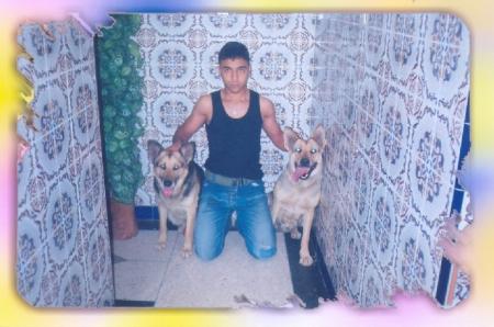 moi et mes chiens