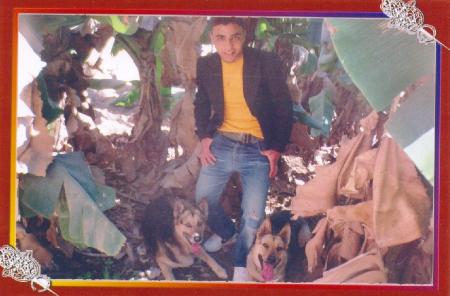 moi et mes chiens